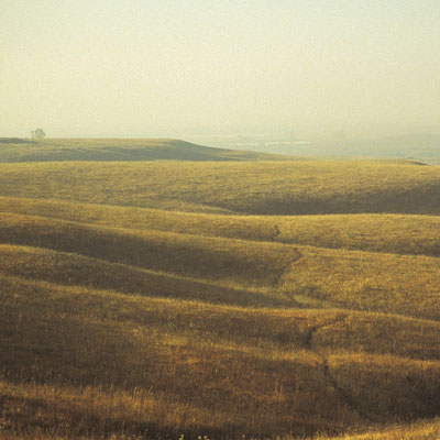 Prairie in autumn