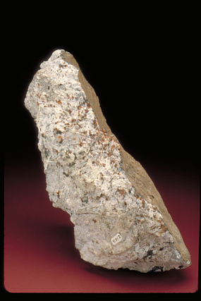 A fragment of the Norton county meteorite in the Smithsonian Natural Museum of Natural History. The meteorite was the largest of nine aubrite meteorite falls.