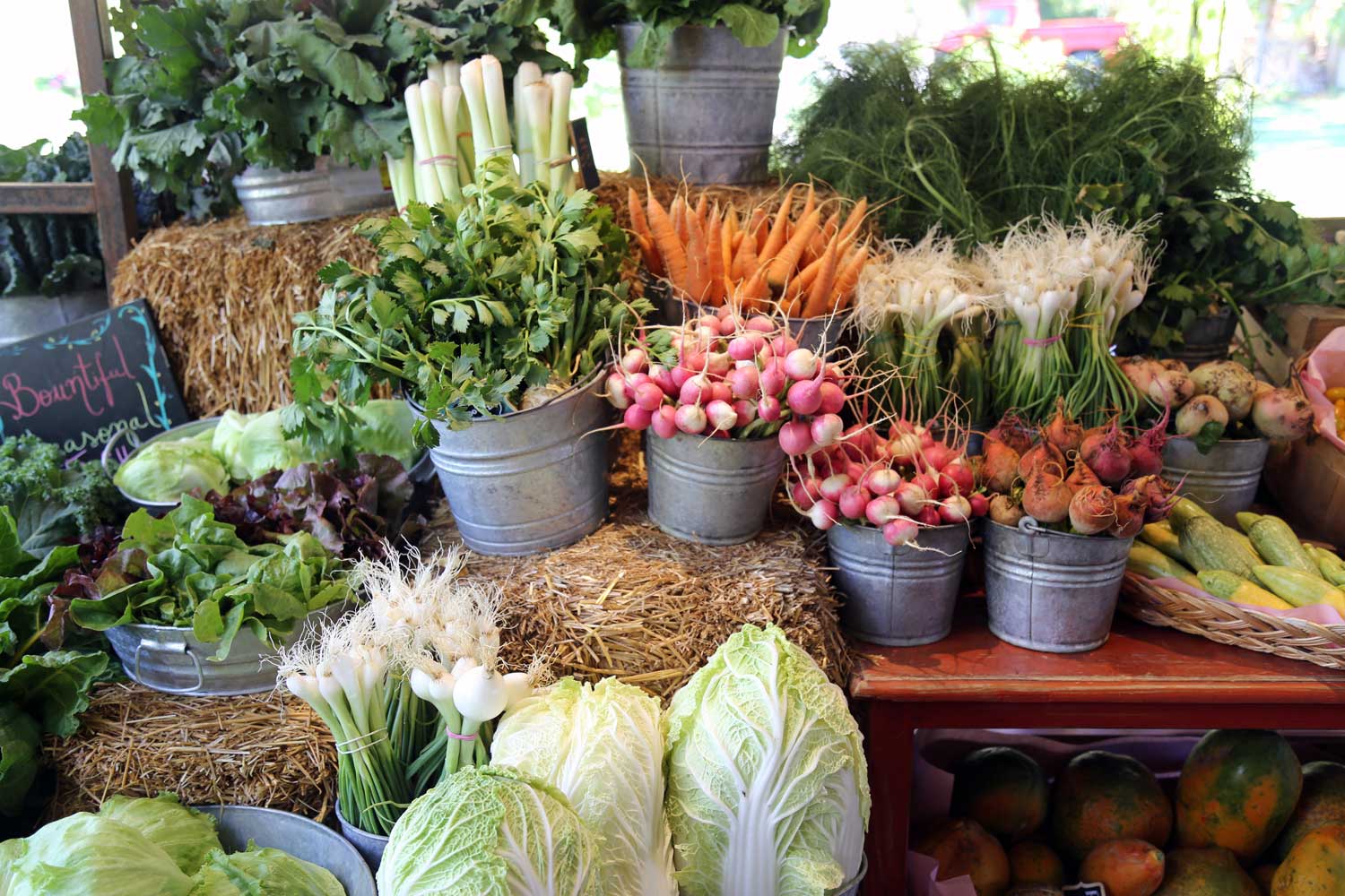 Table full of fresh vegetables